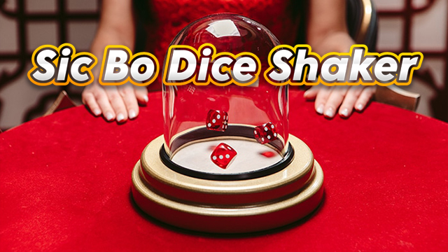 Sic Bo Dice Shaker