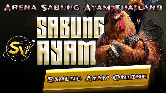 Arena-Sabung-Ayam-Thailand